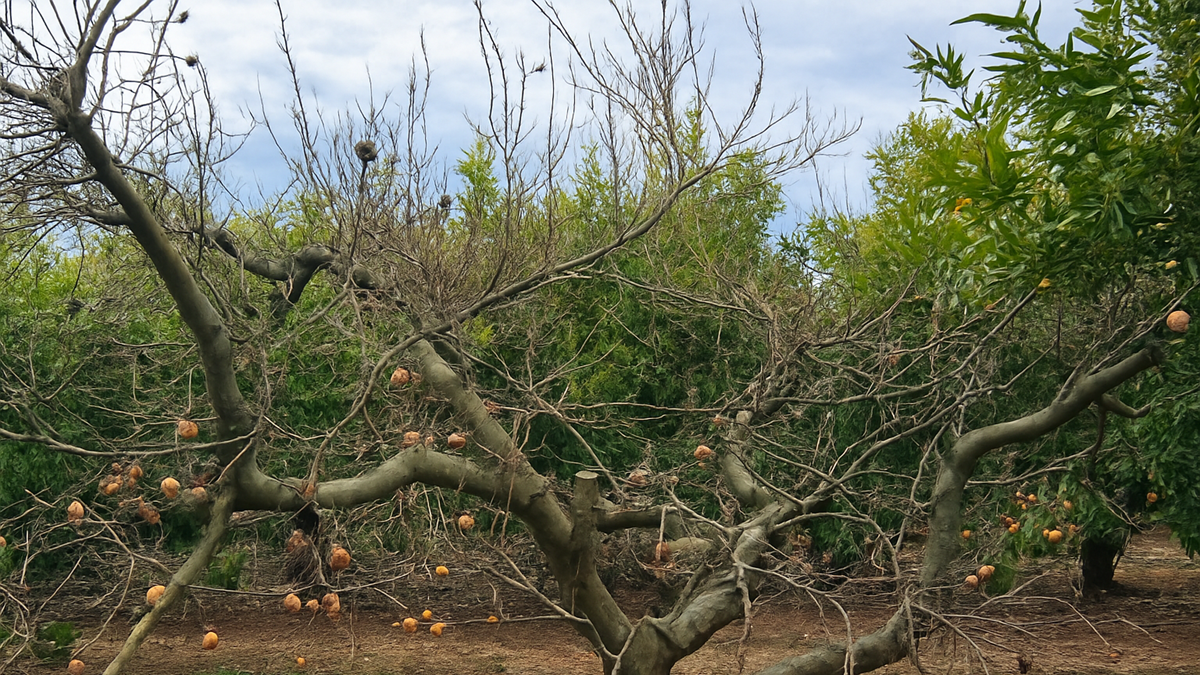 ChatGPT Image 13 nov 2025, 11_26_06.png